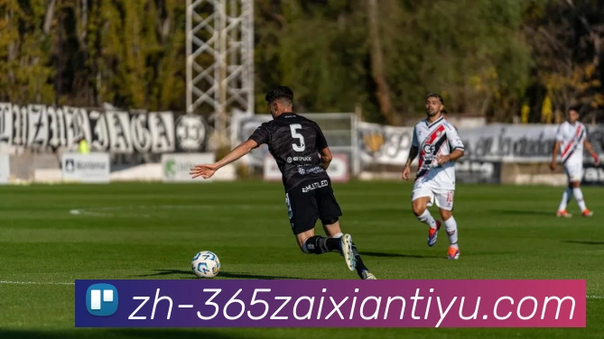 beat365平台生态图