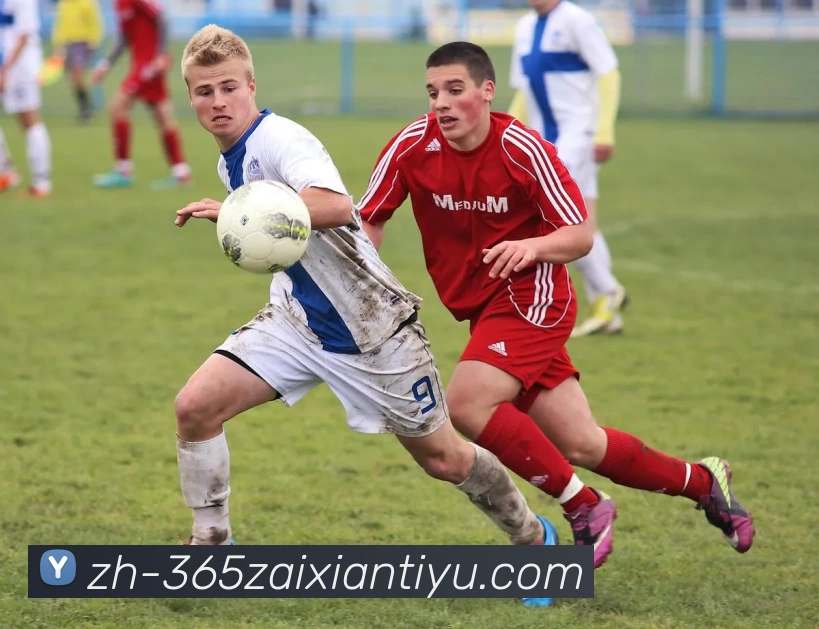 beat365APP 封面图